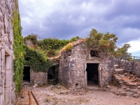 Kotor